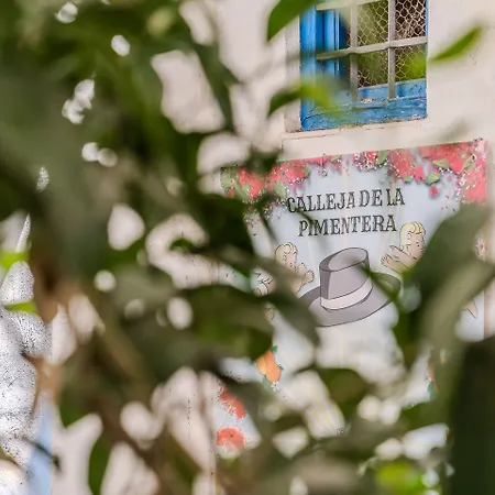 Calleja De La Pimentera Bed & Breakfast Córdoba