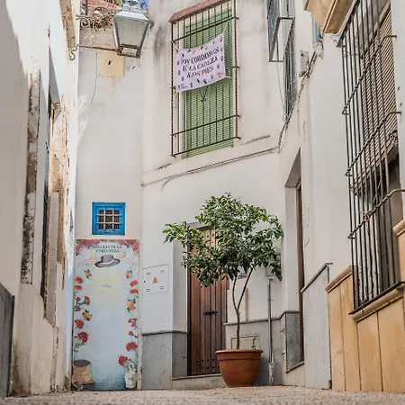 Bed & Breakfast Calleja De La Pimentera 3*